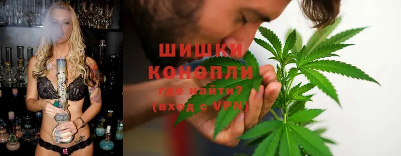 Бошки марихуана THC 21%  наркошоп  Палласовка 